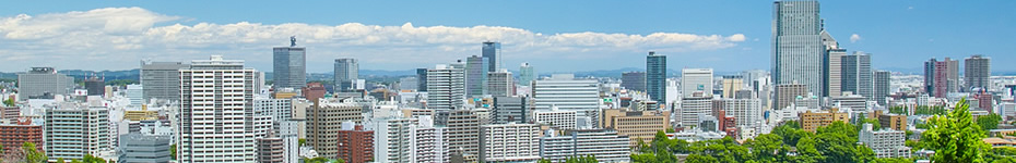 事業内容